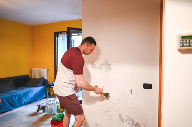 Home Mold Removal in Campbellsburg, KY