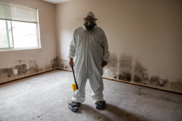 Best Mold Remediation Experts  in Campbellsburg, KY